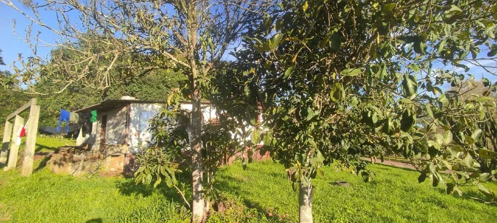 Terreno, 7051 m² - Foto 11
