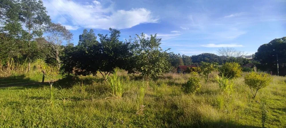 Terreno, 7051 m² - Foto 2