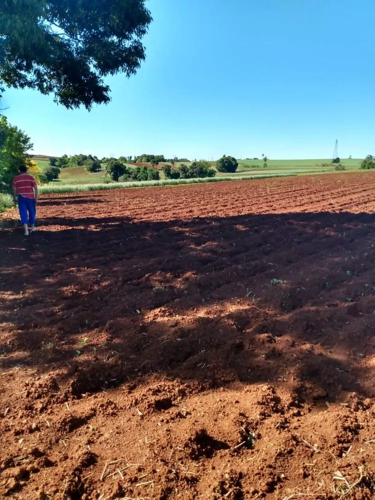 Terreno, 2 hectares - Foto 4