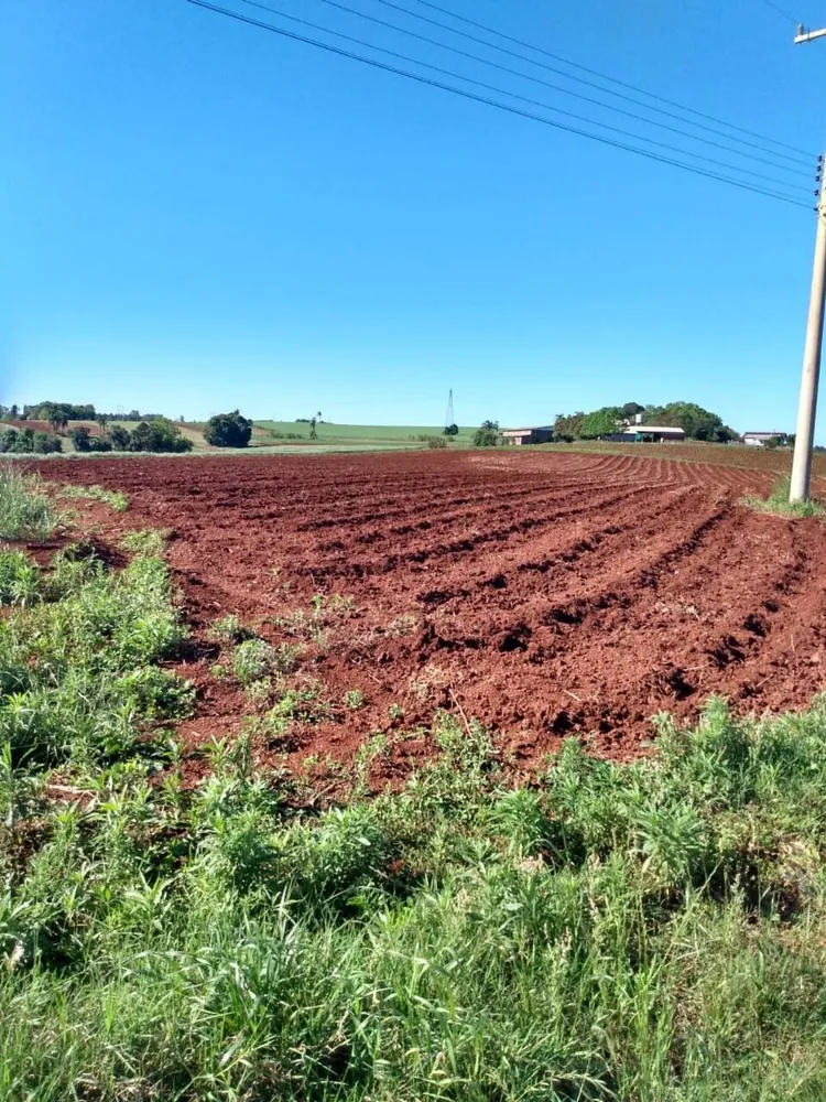 Terreno, 2 hectares - Foto 8