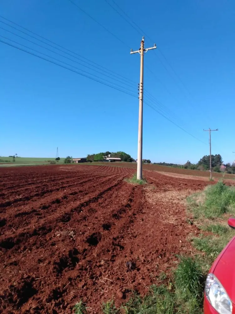 Terreno, 2 hectares - Foto 1