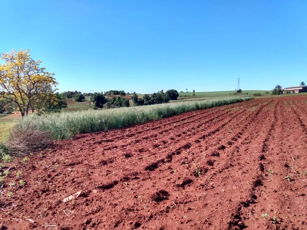 Terreno, 2 hectares - Foto 9