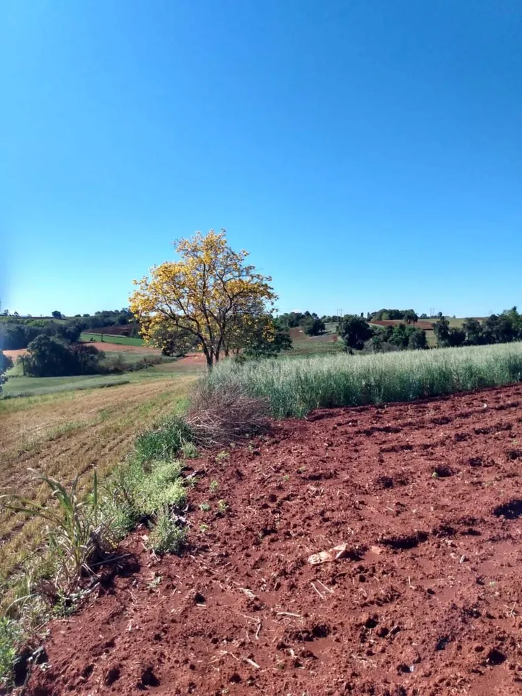 Terreno, 2 hectares - Foto 6