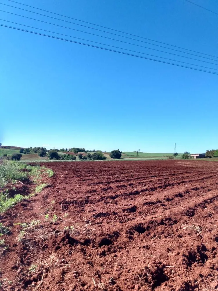 Terreno, 2 hectares - Foto 2