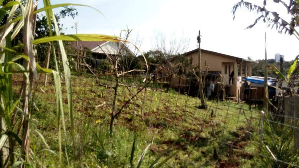Sítio, 2 quartos, 2 hectares - Foto 8
