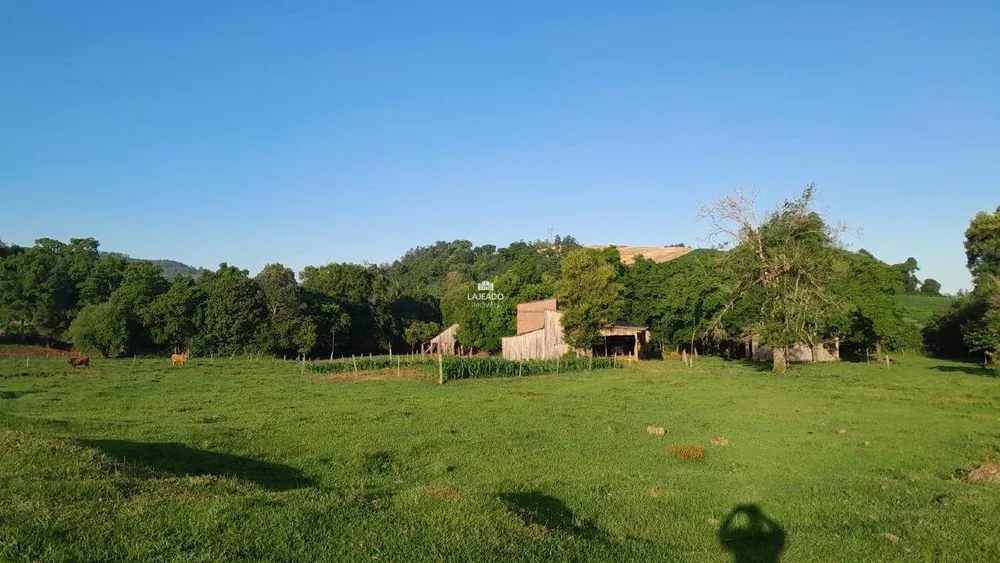 Sítio, 5 quartos, 14 hectares - Foto 6