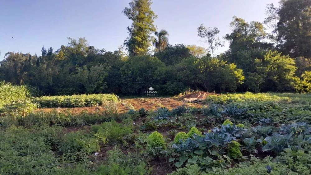 Sítio, 5 quartos, 14 hectares - Foto 10