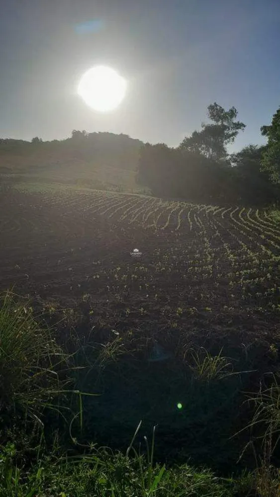 Sítio, 5 quartos, 14 hectares - Foto 3