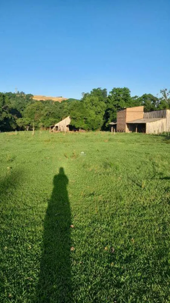 Sítio, 5 quartos, 14 hectares - Foto 2