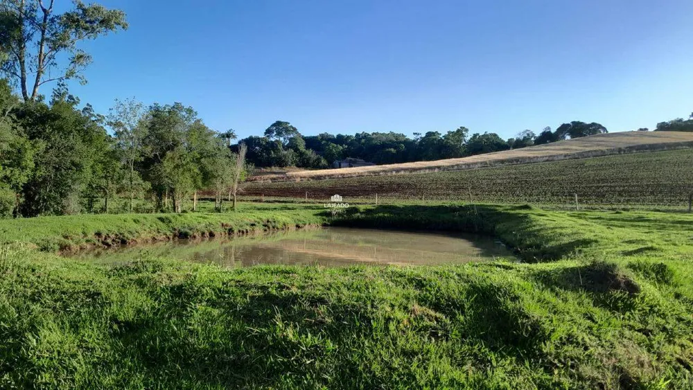 Sítio, 5 quartos, 14 hectares - Foto 8