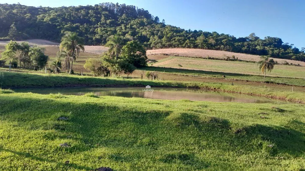 Sítio, 5 quartos, 14 hectares - Foto 9