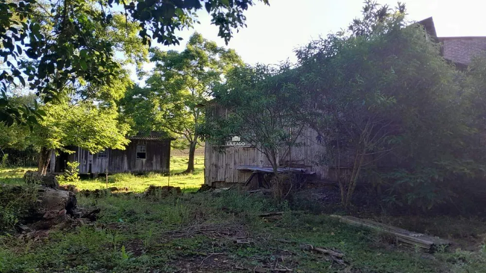 Sítio, 5 quartos, 14 hectares - Foto 4