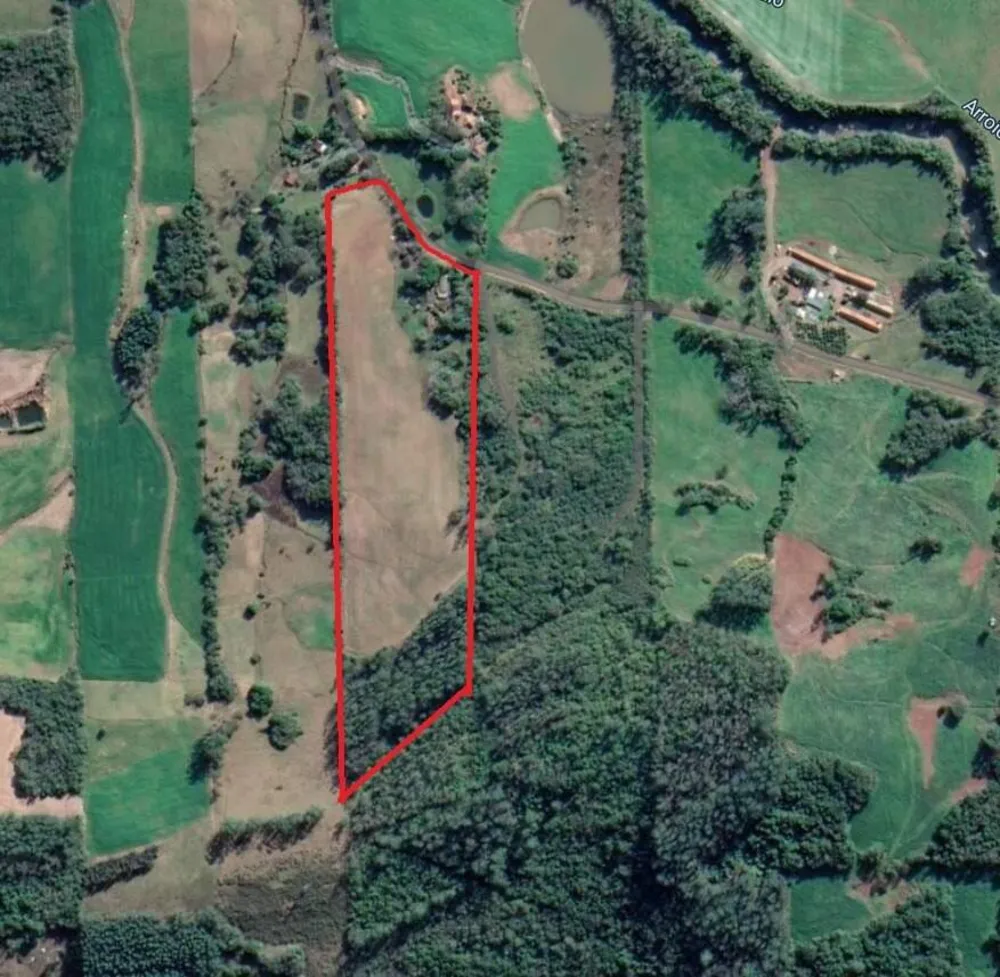 Sítio, 3 quartos, 6 hectares - Foto 7