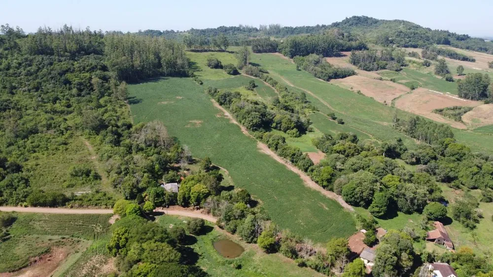 Sítio, 3 quartos, 6 hectares - Foto 1