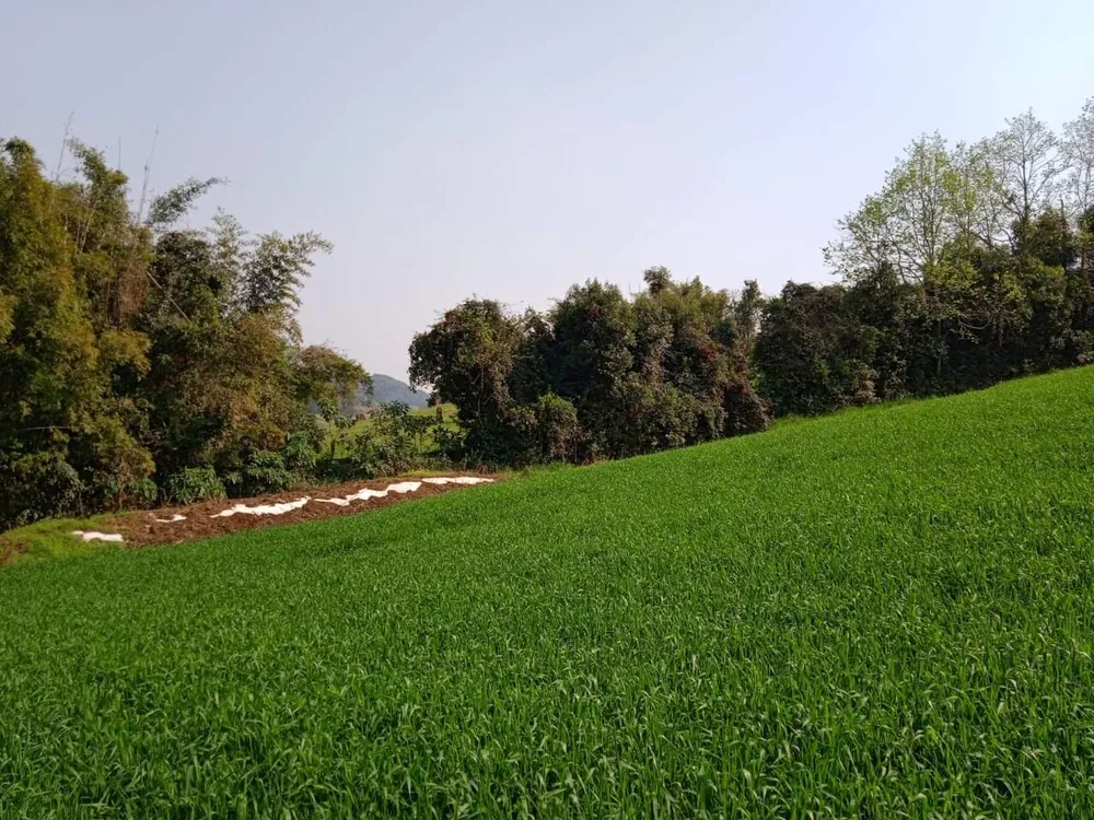 Terreno, 8 hectares - Foto 9