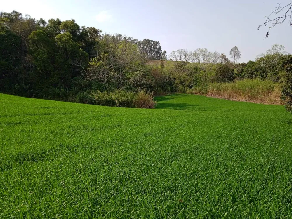 Terreno, 8 hectares - Foto 13