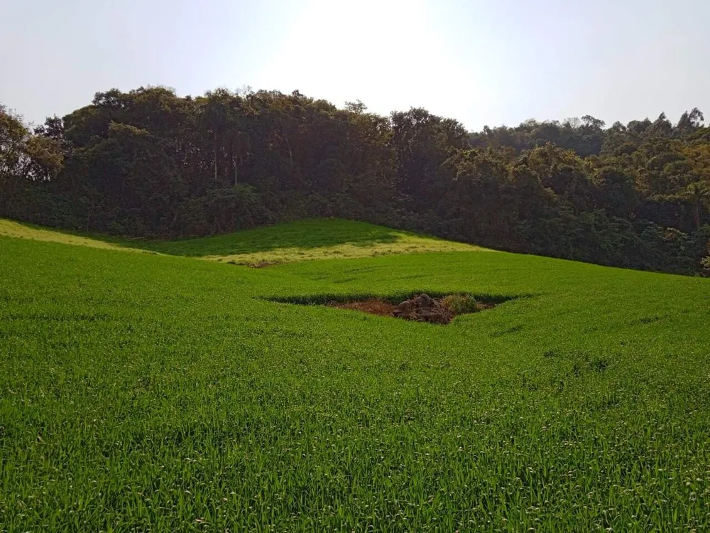 Terreno, 8 hectares - Foto 10
