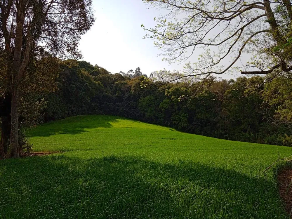 Terreno, 8 hectares - Foto 11