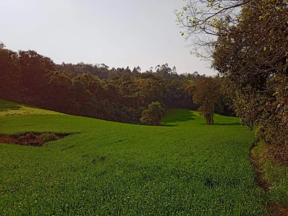 Terreno, 8 hectares - Foto 1