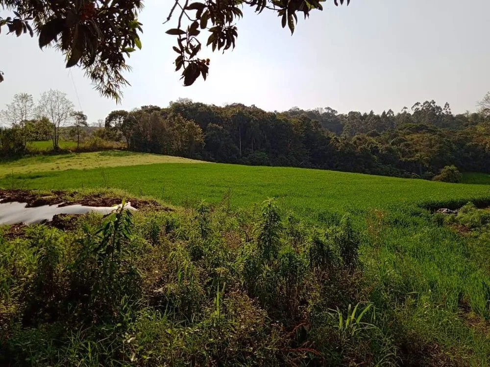 Terreno, 8 hectares - Foto 12