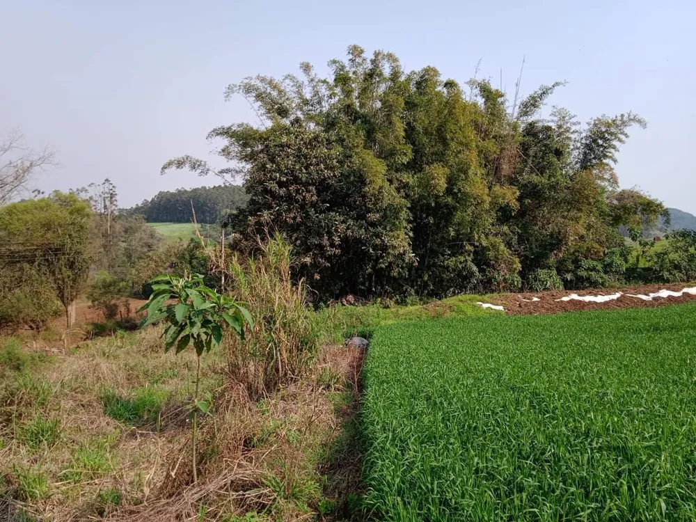 Terreno, 8 hectares - Foto 8