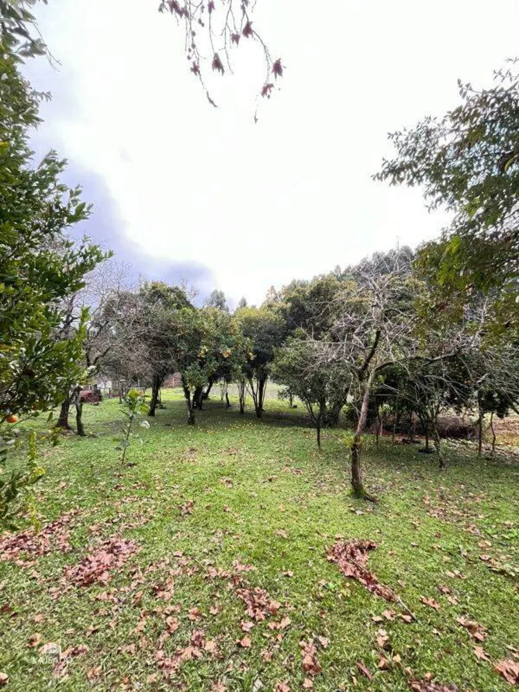 Sítio - Foto 2