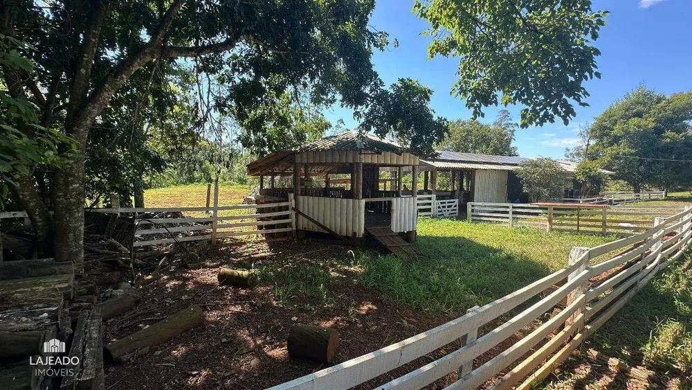 Sítio, 5 quartos, 3 hectares - Foto 13