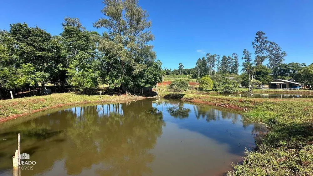 Sítio, 5 quartos, 3 hectares - Foto 17