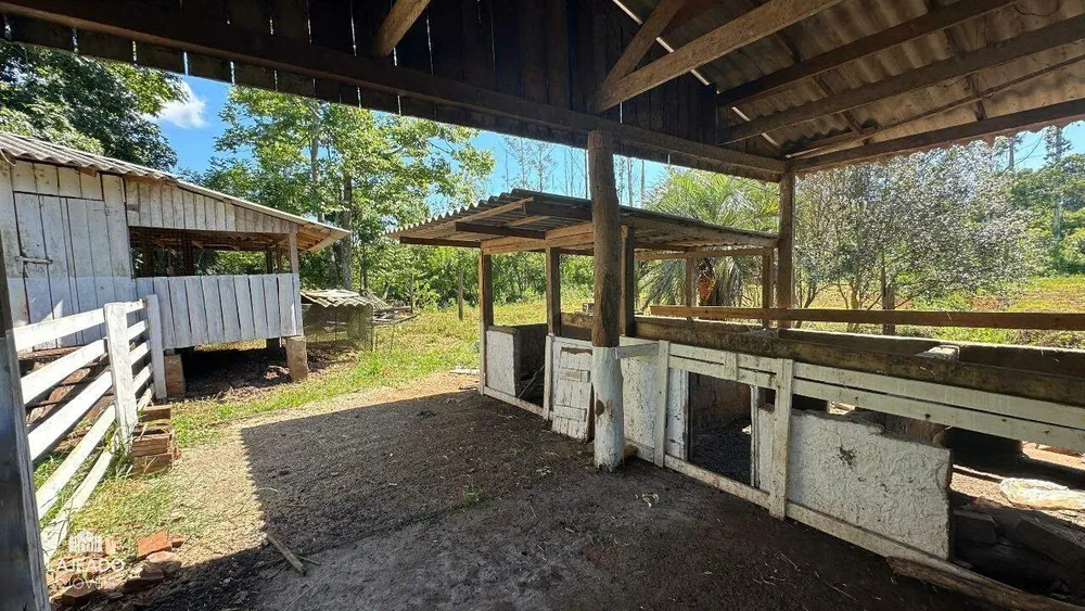Sítio, 5 quartos, 3 hectares - Foto 14