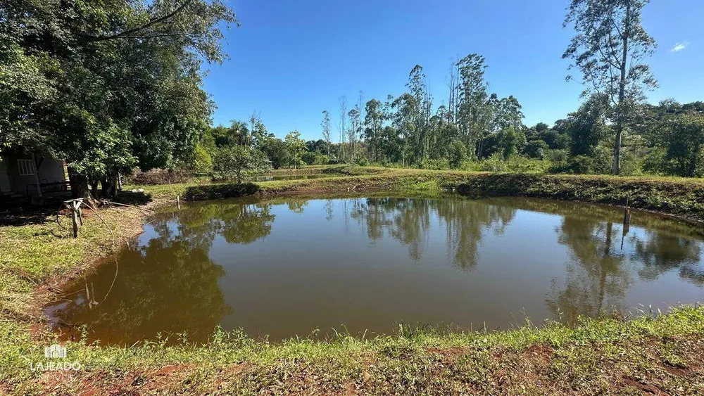 Sítio, 5 quartos, 3 hectares - Foto 20