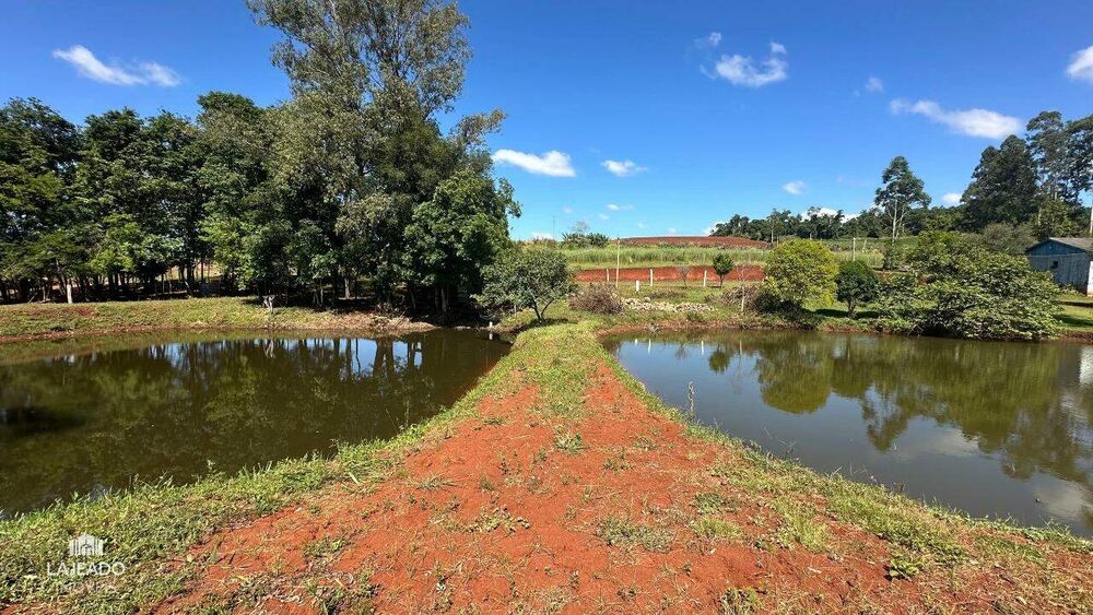 Sítio, 5 quartos, 3 hectares - Foto 11