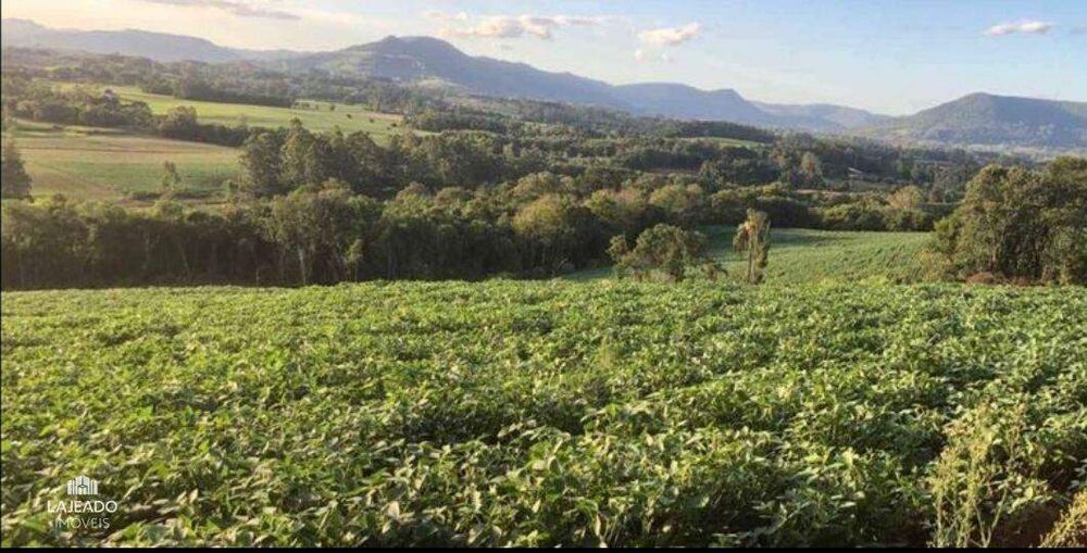 Sítio, 2 quartos, 200 m² - Foto 4