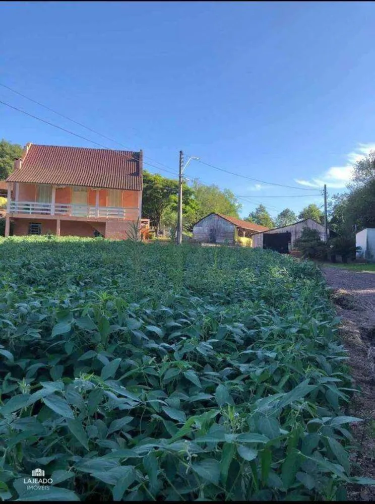 Sítio, 2 quartos, 200 m² - Foto 6