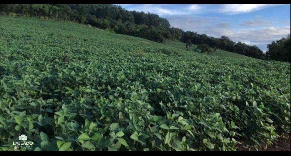 Sítio, 2 quartos, 200 m² - Foto 3