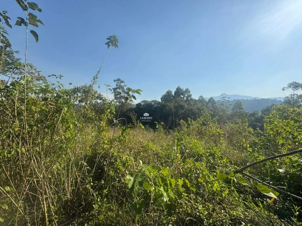 Chácara, 1 hectares - Foto 11