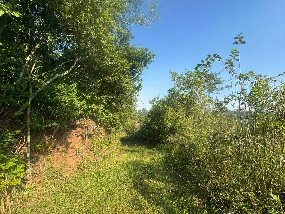 Chácara, 1 hectares - Foto 2