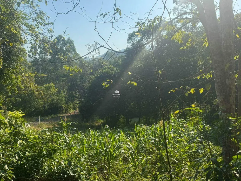 Chácara, 1 hectares - Foto 15