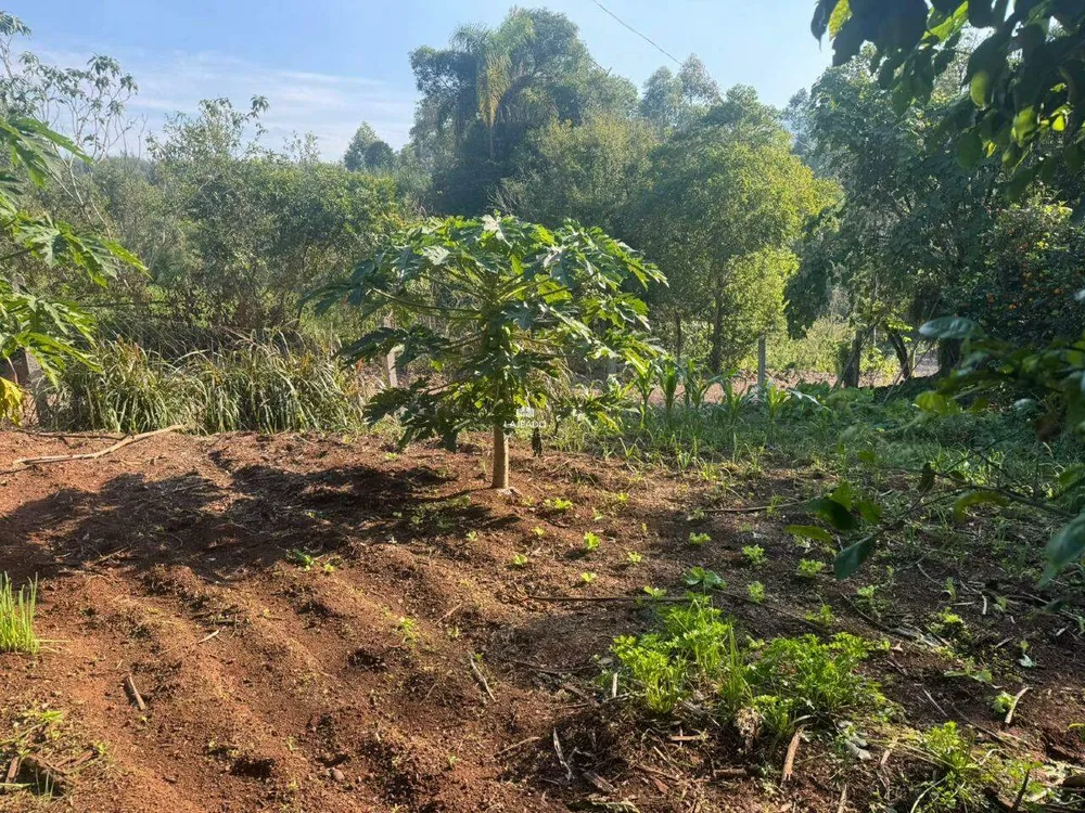 Chácara, 1 hectares - Foto 12
