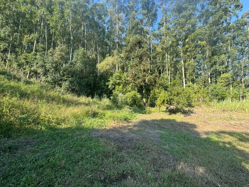 Chácara, 1 hectares - Foto 3