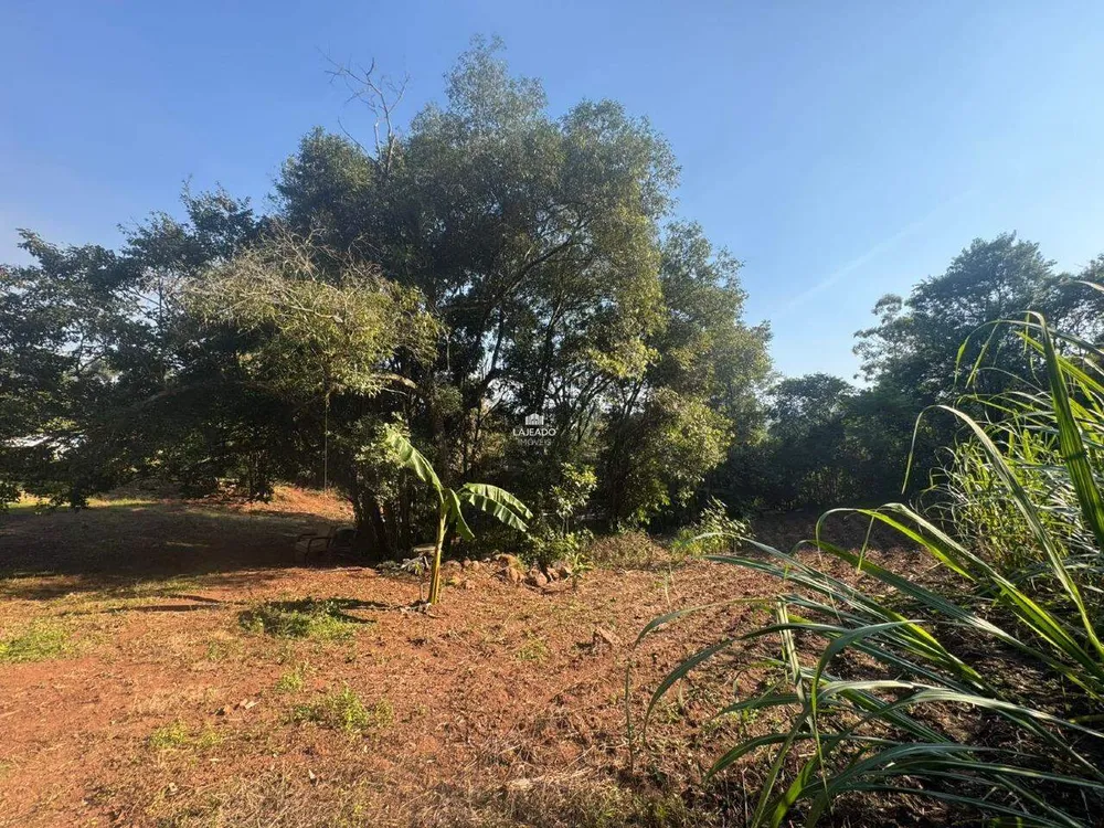 Chácara, 1 hectares - Foto 3