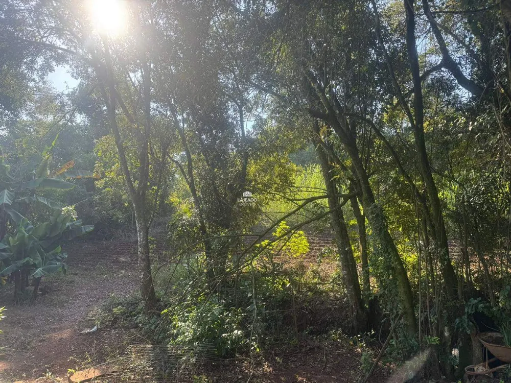 Chácara, 1 hectares - Foto 1