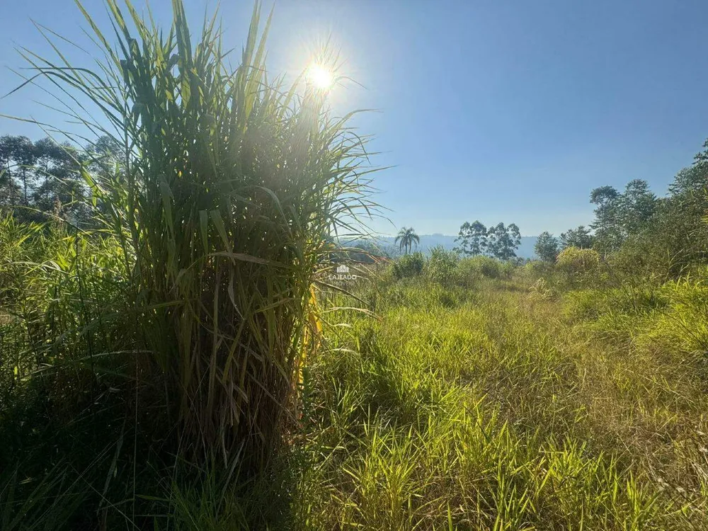 Chácara, 1 hectares - Foto 7