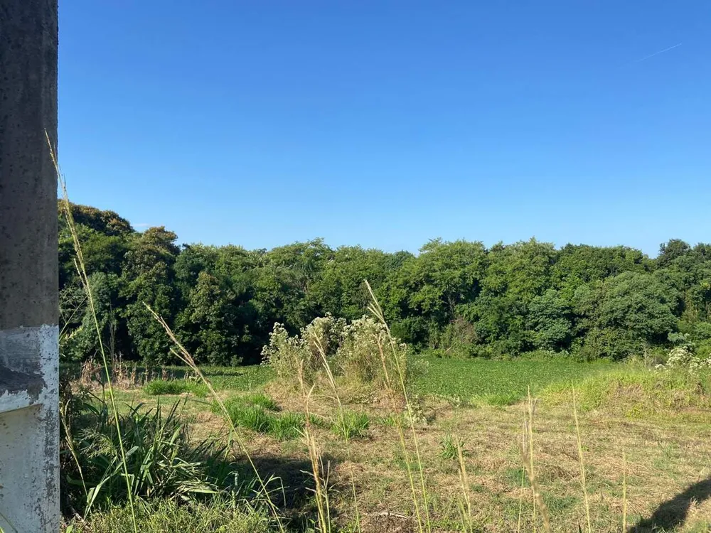 Terreno, 450 m² - Foto 3