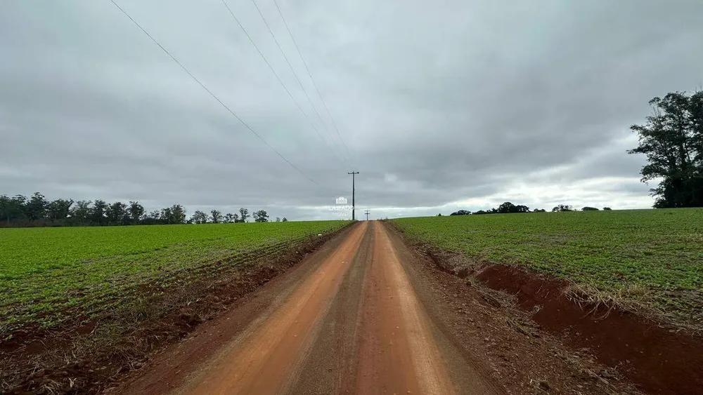 Terreno, 3 hectares - Foto 3