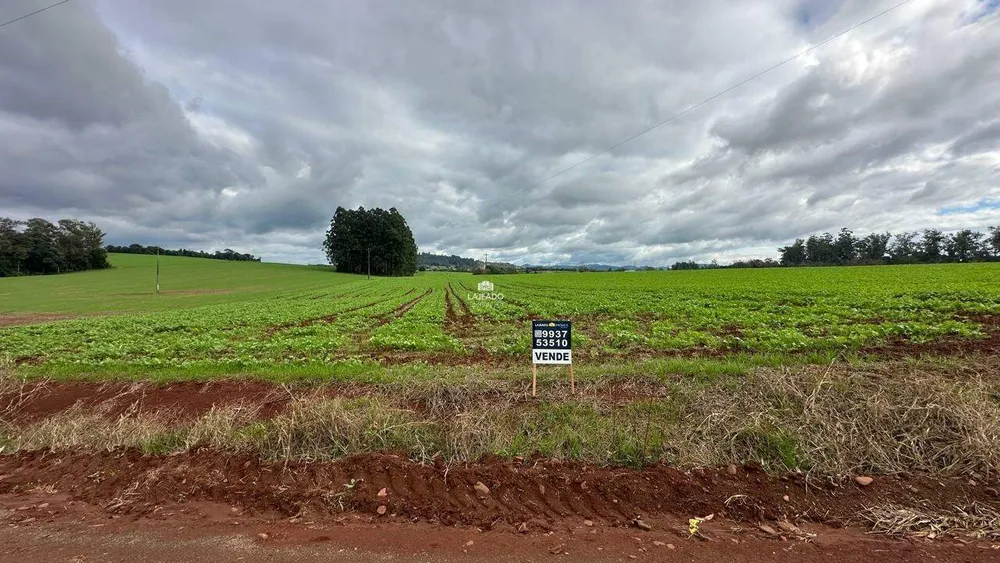 Terreno, 3 hectares - Foto 1