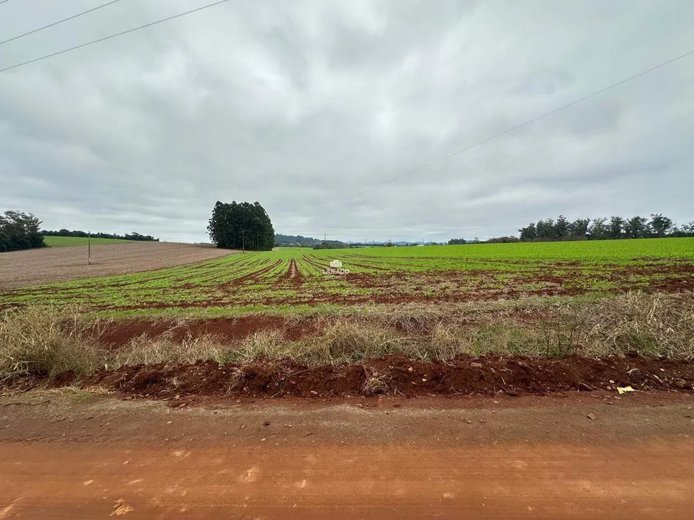 Terreno, 3 hectares - Foto 4