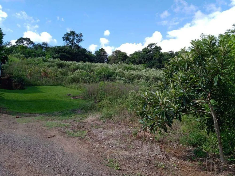 Terreno, 10 hectares - Foto 8