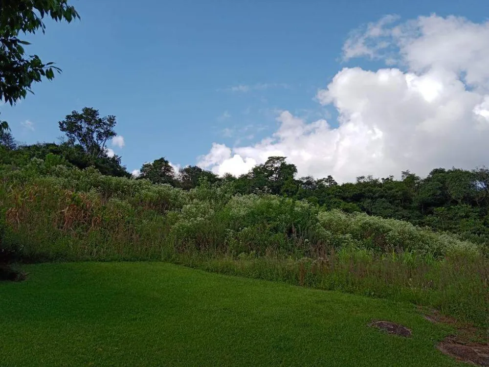 Terreno, 10 hectares - Foto 6