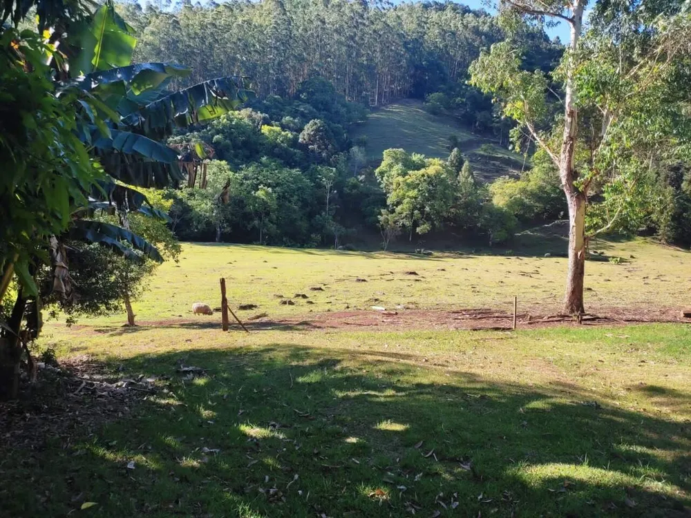 Sítio, 3 quartos, 28 hectares - Foto 4