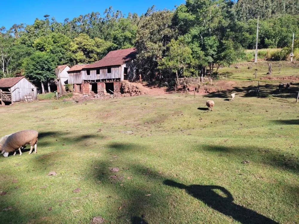 Sítio, 3 quartos, 28 hectares - Foto 11